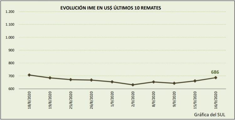 El mercado de lanas da señales positivas