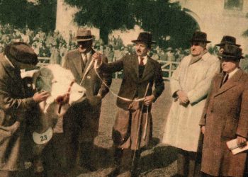 “El Rubio”: un emblema de la raza Hereford, que hizo historia