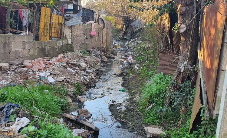 ¿Otra posible “nueva normalidad”?