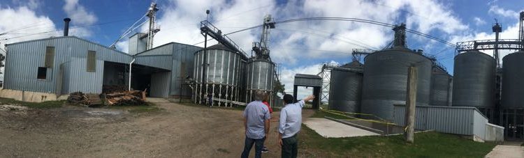 Agroindustrias: la coyuntura y el futuro