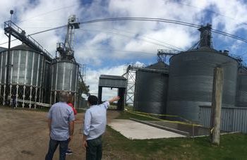 Agroindustrias: la coyuntura y el futuro