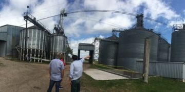 Agroindustrias: la coyuntura y el futuro