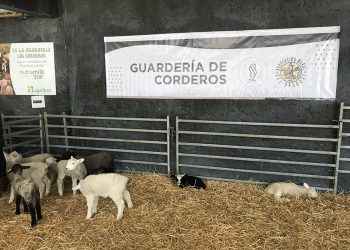 Guardería de corderos: una experiencia para vivir el campo en la ciudad durante el Prado
