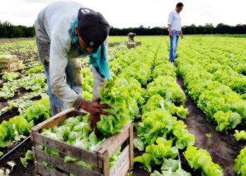 Para Canelones es importante que la gente se quede en la granja trabajándola