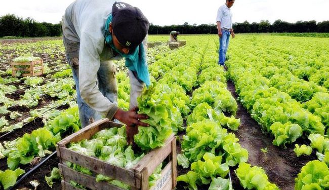 Para Canelones es importante que la gente se quede en la granja trabajándola