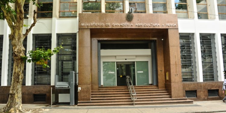 Jerarcas del MGAP advierten sobre “situación muy compleja” por disminución de recursos humanos