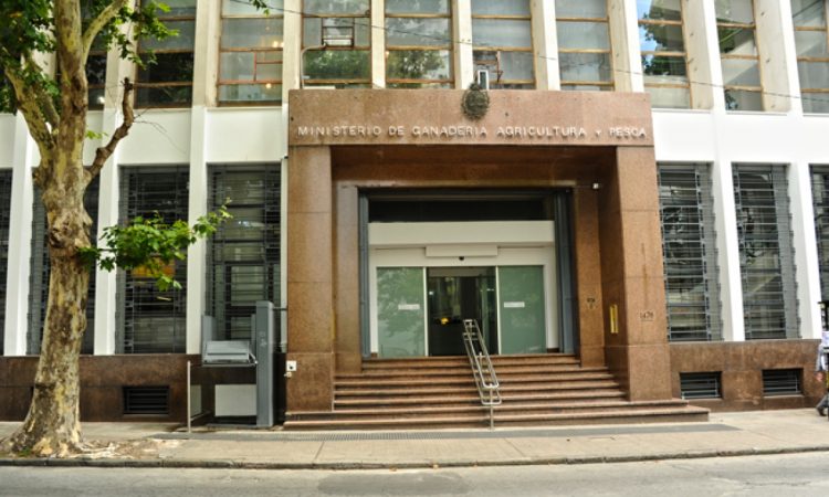 Jerarcas del MGAP advierten sobre “situación muy compleja” por disminución de recursos humanos