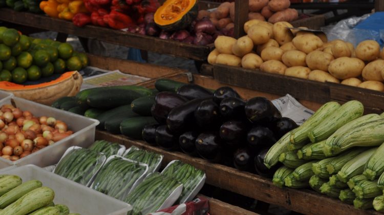 En seis meses de pandemia “la economía alimentaria ha sido resistente”, pero “las grietas están empezando a mostrarse”