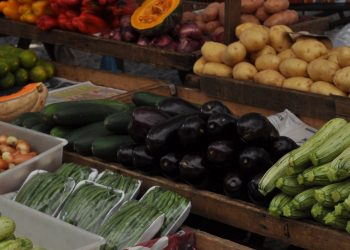 En seis meses de pandemia “la economía alimentaria ha sido resistente”, pero “las grietas están empezando a mostrarse”