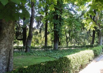 Tras las huellas del poeta