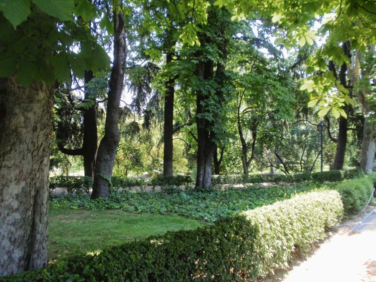 Tras las huellas del poeta