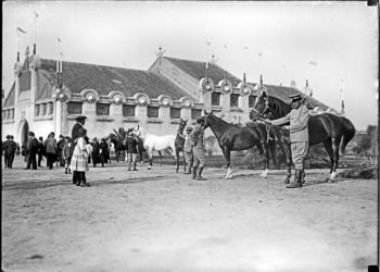 El campo nunca se detuvo