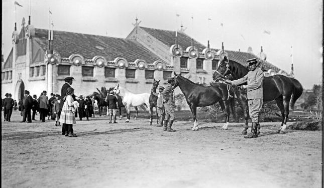 El campo nunca se detuvo