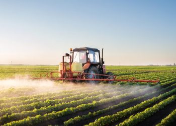 Agricultura: Uruguay país productor de alimentos