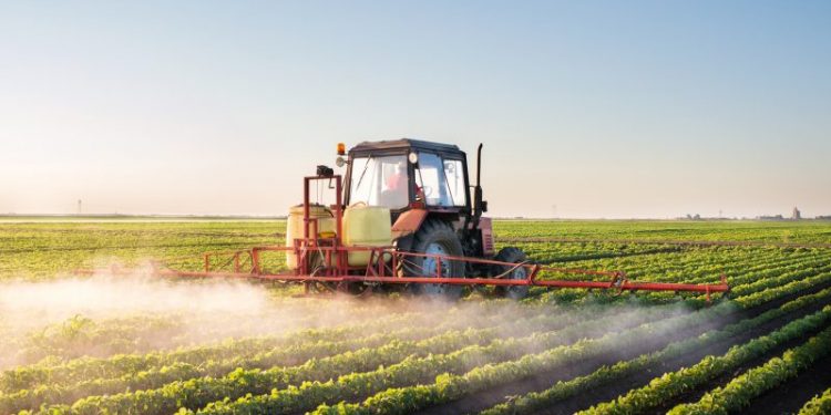 Agricultura: Uruguay país productor de alimentos