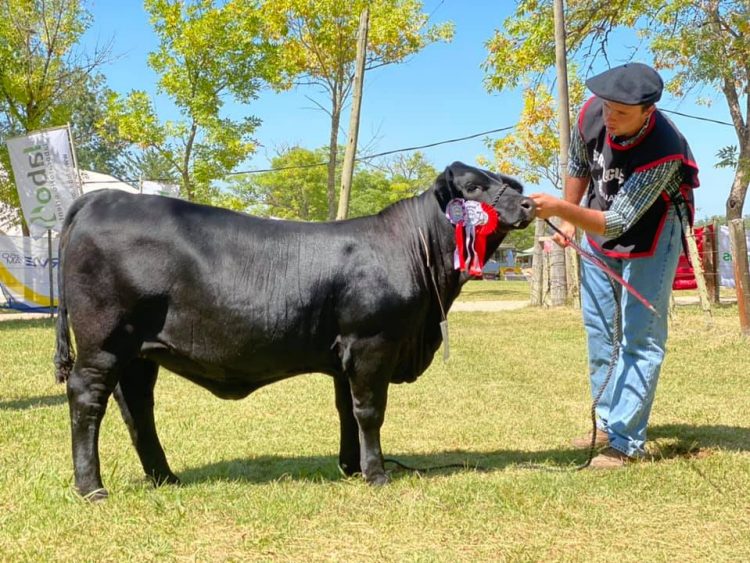 Los jóvenes que eligen el campo