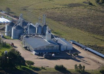 Bioración: destacados productores señalaron los buenos resultados en suplementación