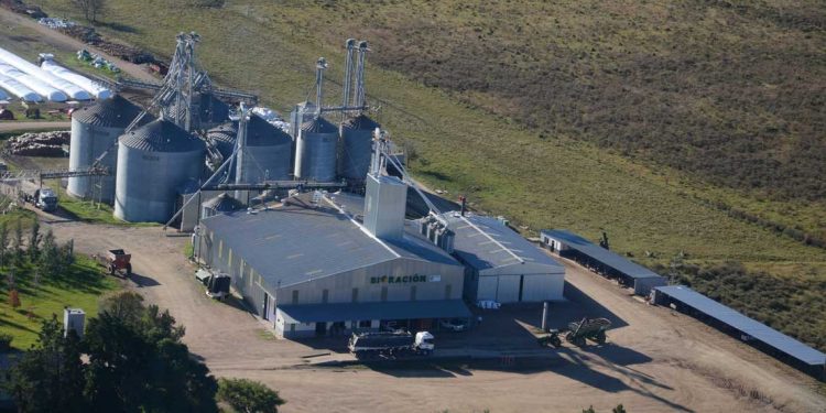 Bioración: destacados productores señalaron los buenos resultados en suplementación