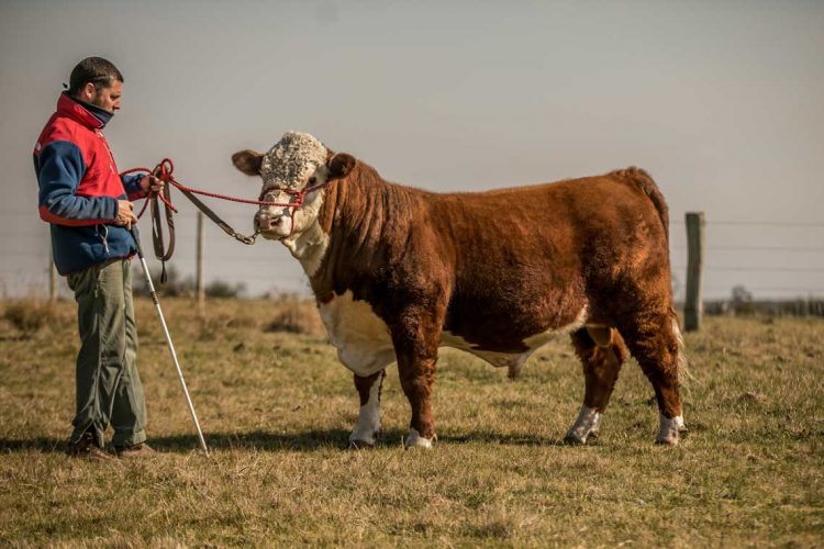Bioración: destacados productores señalaron los buenos resultados en suplementación
