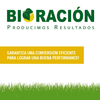 publicidad