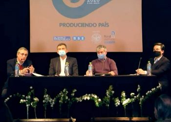 Los desafíos de la forestación: agregado de valor, madera, construcción y mueblería