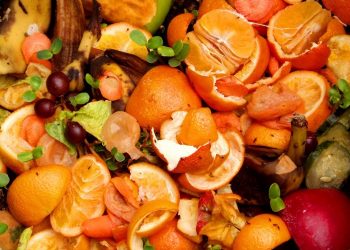 El mundo desperdicia 1.300 millones de toneladas de alimentos