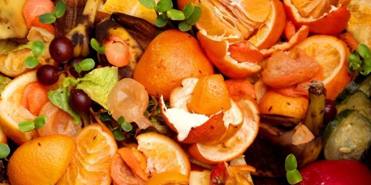 El mundo desperdicia 1.300 millones de toneladas de alimentos