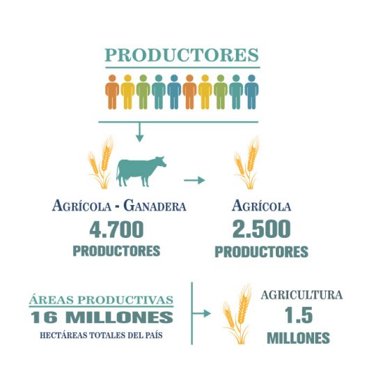 Agricultura: Uruguay país productor de alimentos