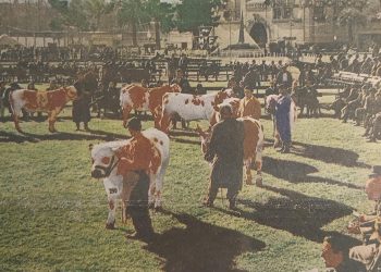 Expo Ganadera en el Centenario de la Asociación Rural del Uruguay