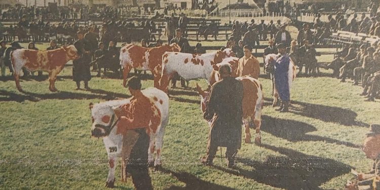 Expo Ganadera en el Centenario de la Asociación Rural del Uruguay