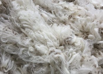 El mercado de lanas da señales positivas