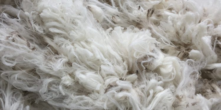 El mercado de lanas da señales positivas