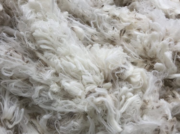 El mercado de lanas da señales positivas