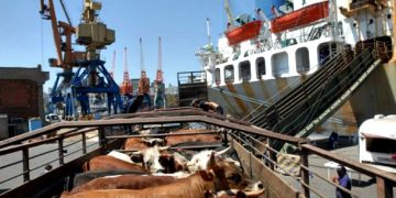 Ganadería: el desafío de la inserción regional