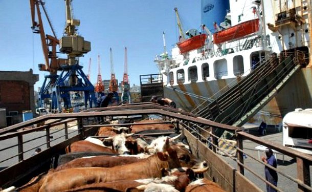 Ganadería: el desafío de la inserción regional