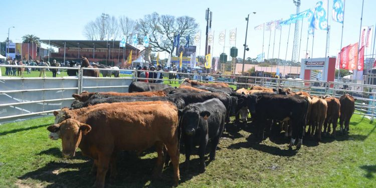 Agro: fortaleza y optimismo en un ambiente enrarecido