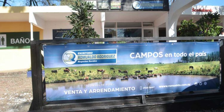 El Prado mostró cuánto han crecido las razas
