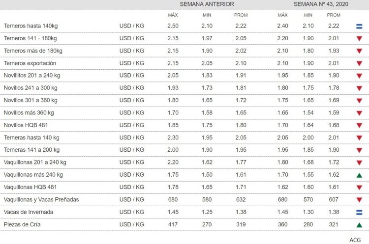 Consignatarios: Los vacunos ajustaron valores