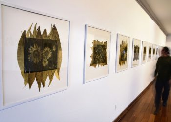 Exposiciones: Herbario. Oda a las malas hierbas