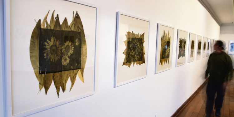 Exposiciones: Herbario. Oda a las malas hierbas