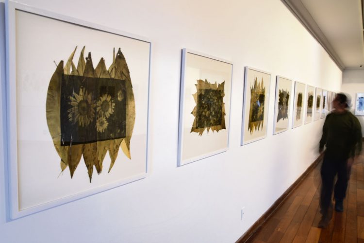 Exposiciones: Herbario. Oda a las malas hierbas