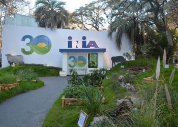 Nuevo presupuesto de INIA afectaría su investigación y gobernanza