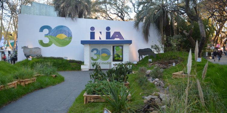 Nuevo presupuesto de INIA afectaría su investigación y gobernanza