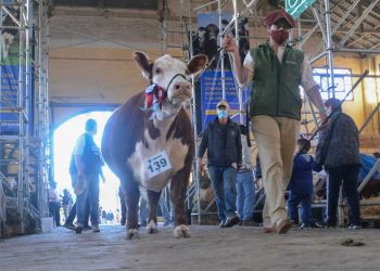 ARU celebró el éxito de una Expo Prado atípica debido a la emergencia sanitaria