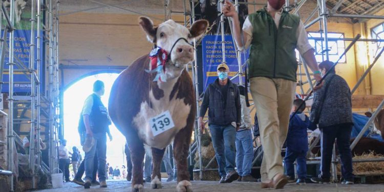 ARU celebró el éxito de una Expo Prado atípica debido a la emergencia sanitaria