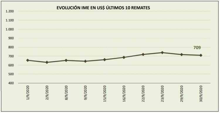 La lana cayó a US$ 7,09 exhibiendo inestabilidad