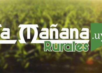 A los periodistas en su día