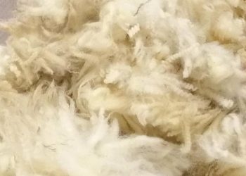 La lana bajó a US$ 8,13