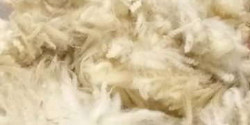 La lana bajó a US$ 8,13