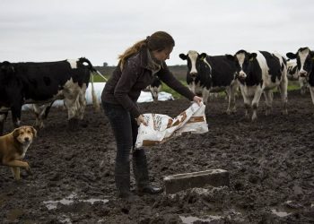 Hoy se celebra el Día Internacional de la Mujer Rural